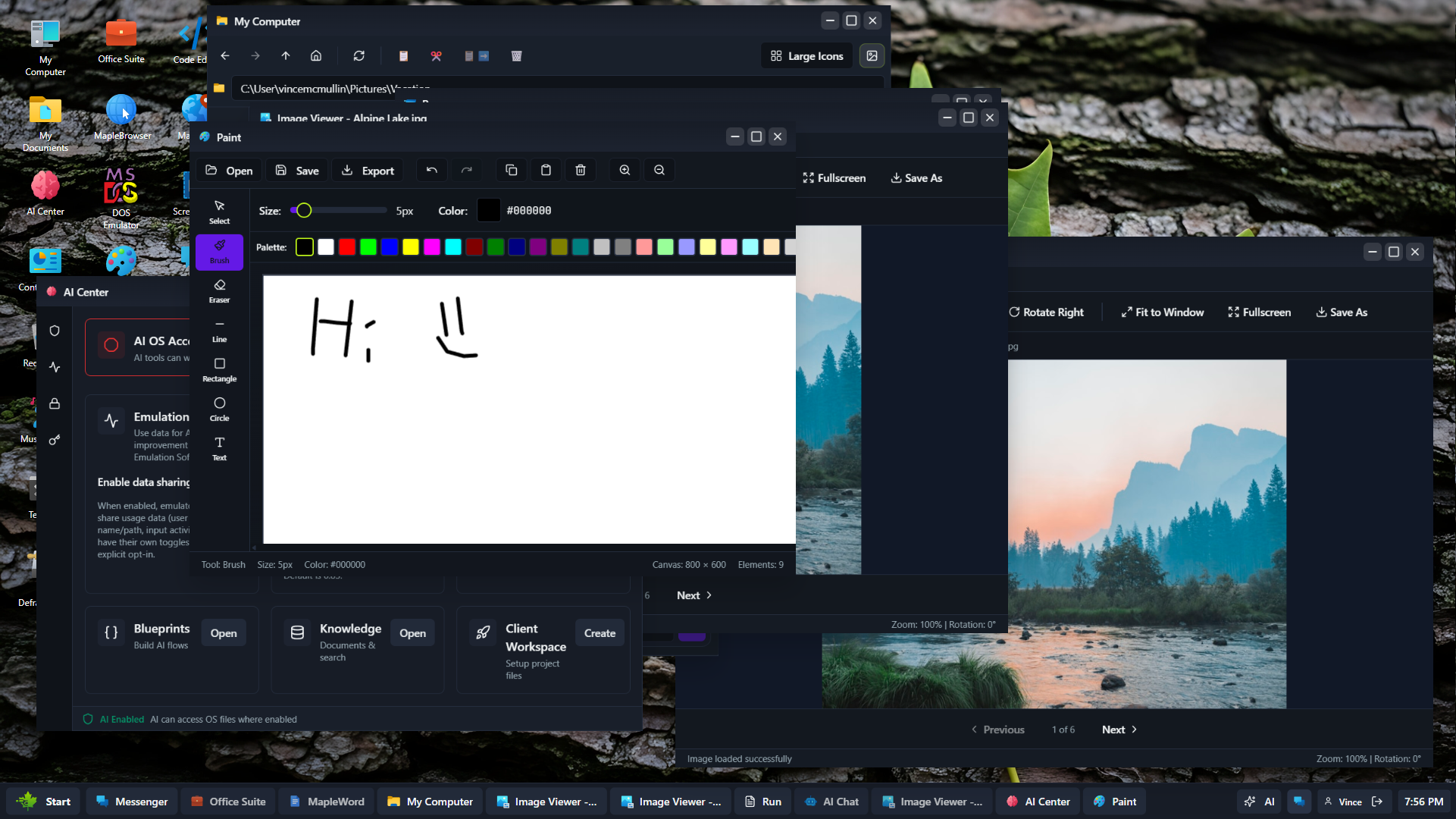 Paint